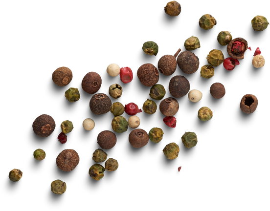 Premium isolated images & templates